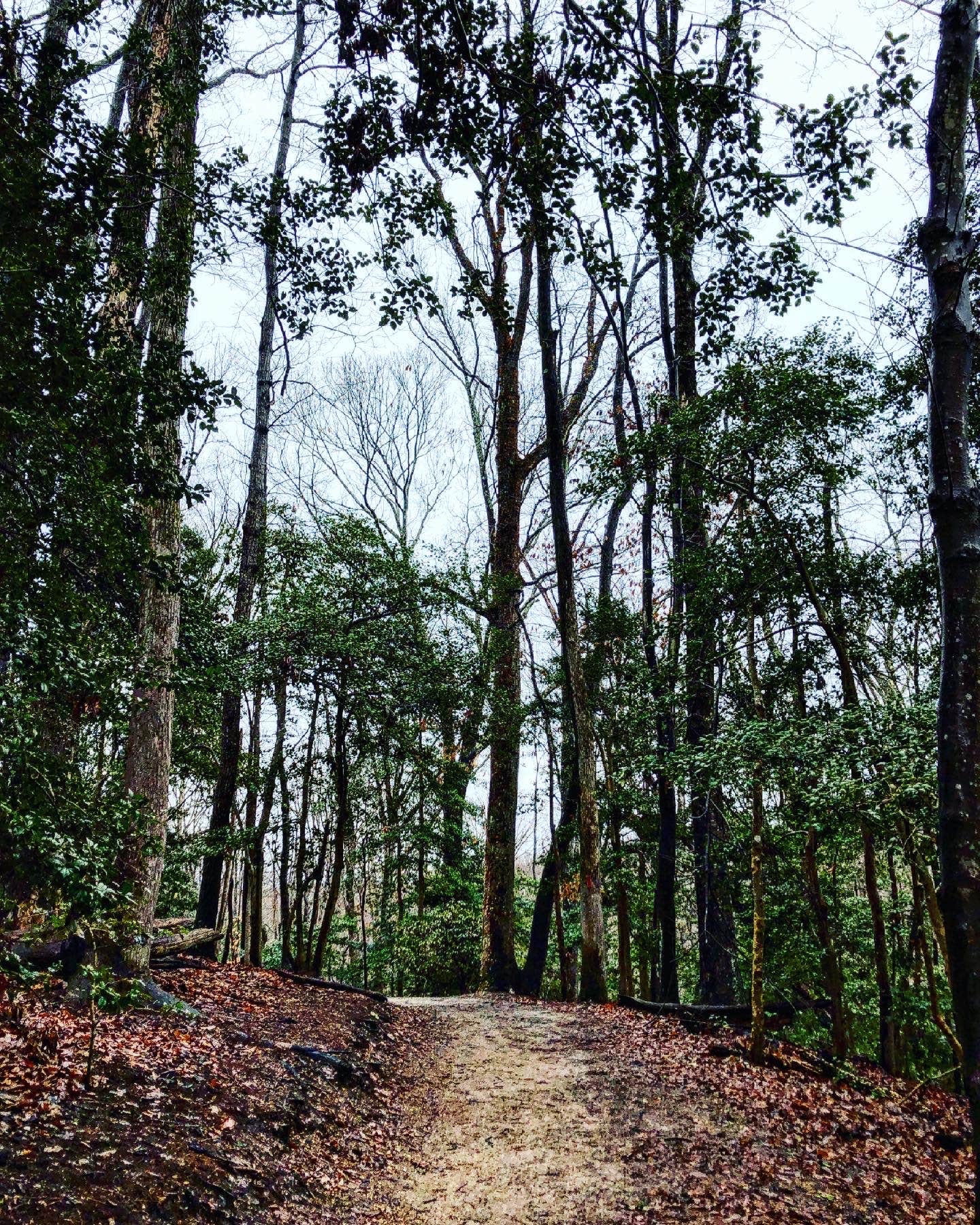 Camper-submitted photo at Westmoreland State Park Campground near Dowell, MD