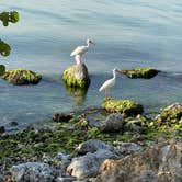 Review photo of Sebastian Inlet State Park Campground by Tracey T., February 28, 2021