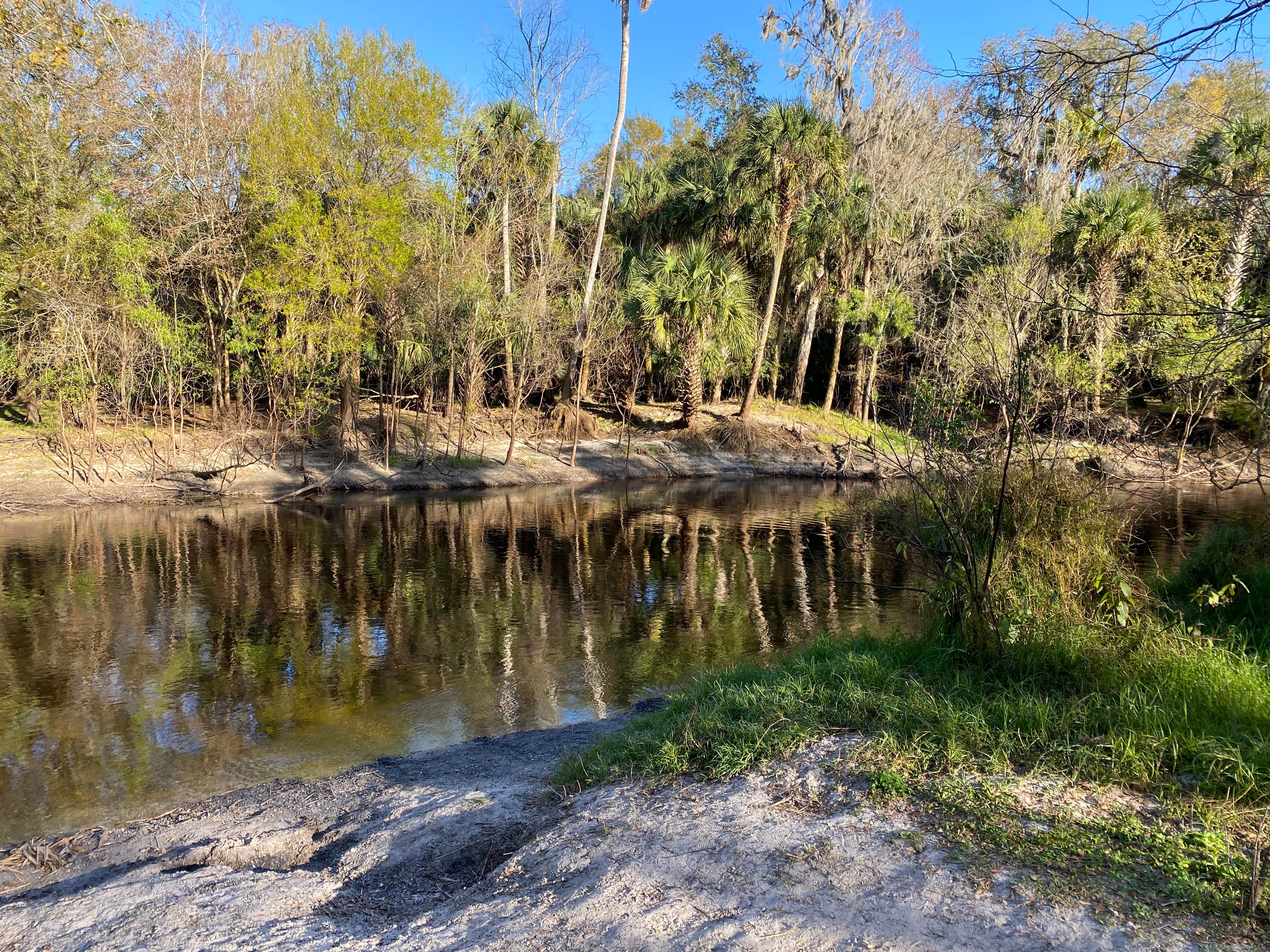 Camper-submitted photo at Sebastian Inlet State Park Campground near Port St. Lucie, FL