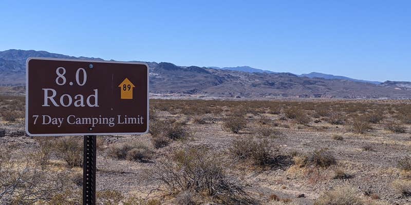Camper submitted image from Eight Mile Dispersed Camping near Government Wash — Lake Mead National Recreation Area