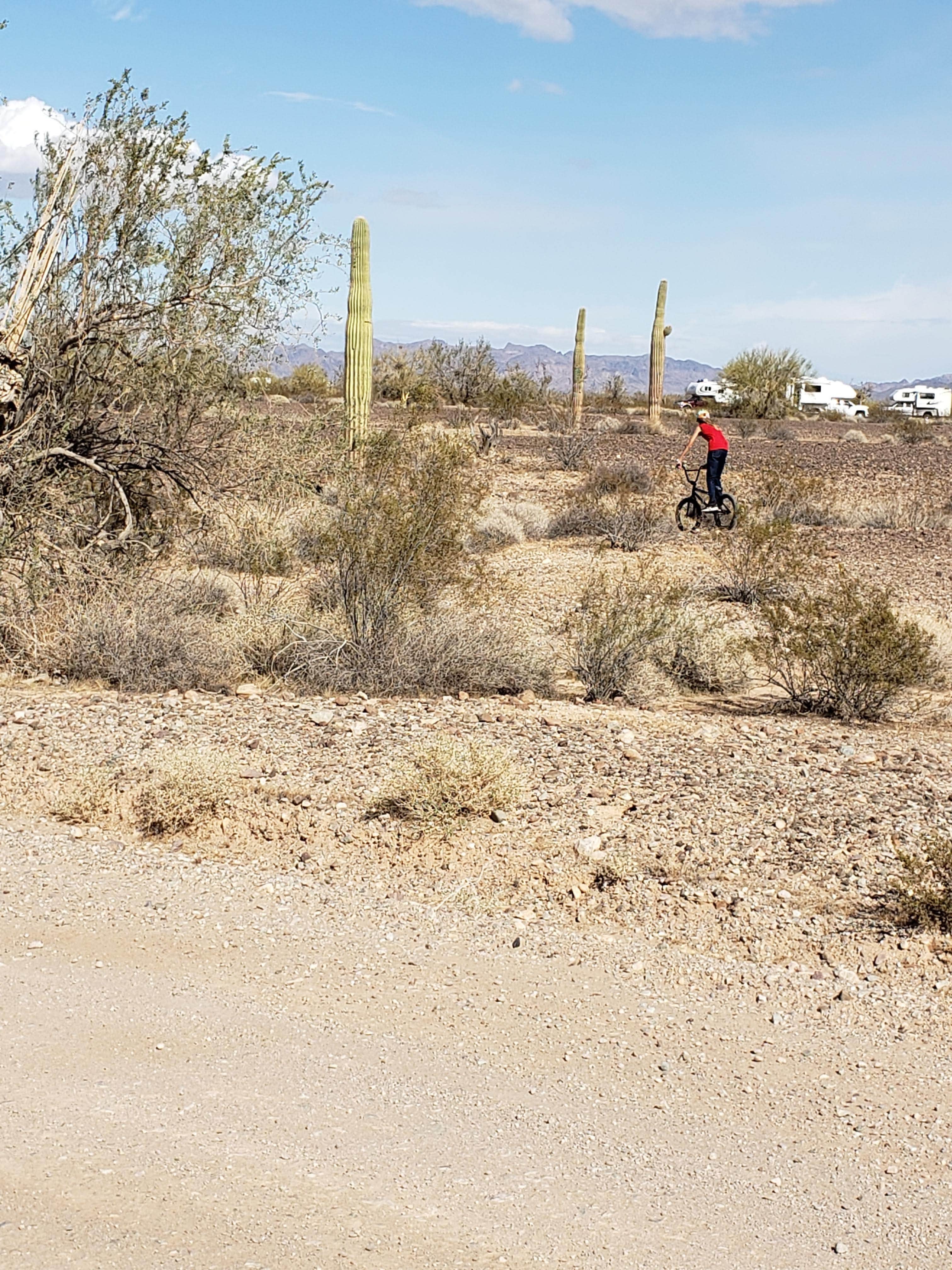 Camper submitted image from Road Runner BLM Dispersed Camping Area - 5