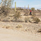 Review photo of Road Runner BLM Dispersed Camping Area by Pinkie K., February 28, 2021