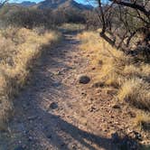 Review photo of Kartchner Caverns State Park Campground by Chris P., February 28, 2021