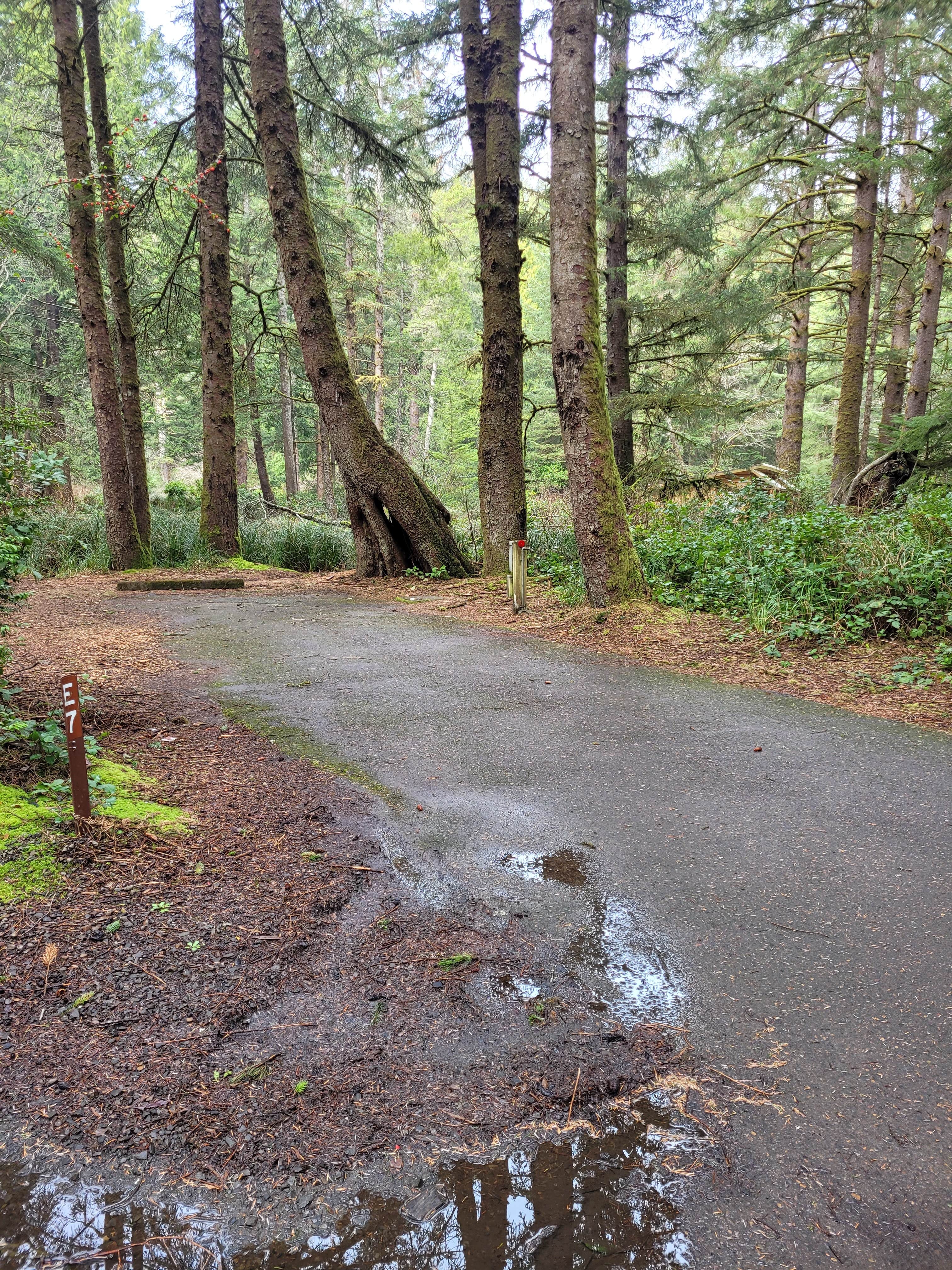 Camper-submitted photo at Beverly Beach State Park Campground in Oregon