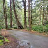 Review photo of Beverly Beach State Park Campground by Janell , February 28, 2021