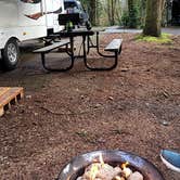 Review photo of Beverly Beach State Park Campground by Janell , February 28, 2021