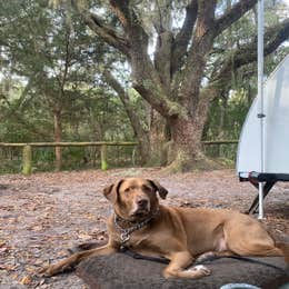 Atlantic Beach Campground — Fort Clinch State Park