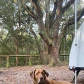 Review photo of Atlantic Beach Campground — Fort Clinch State Park by Kelly R., February 28, 2021