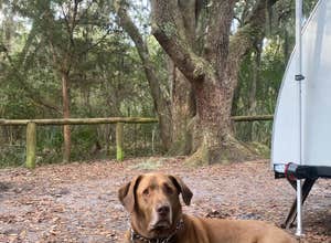 Atlantic Beach Campground — Fort Clinch State Park