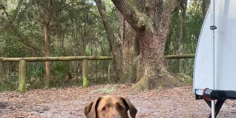 Camper submitted image from Atlantic Beach Campground — Fort Clinch State Park