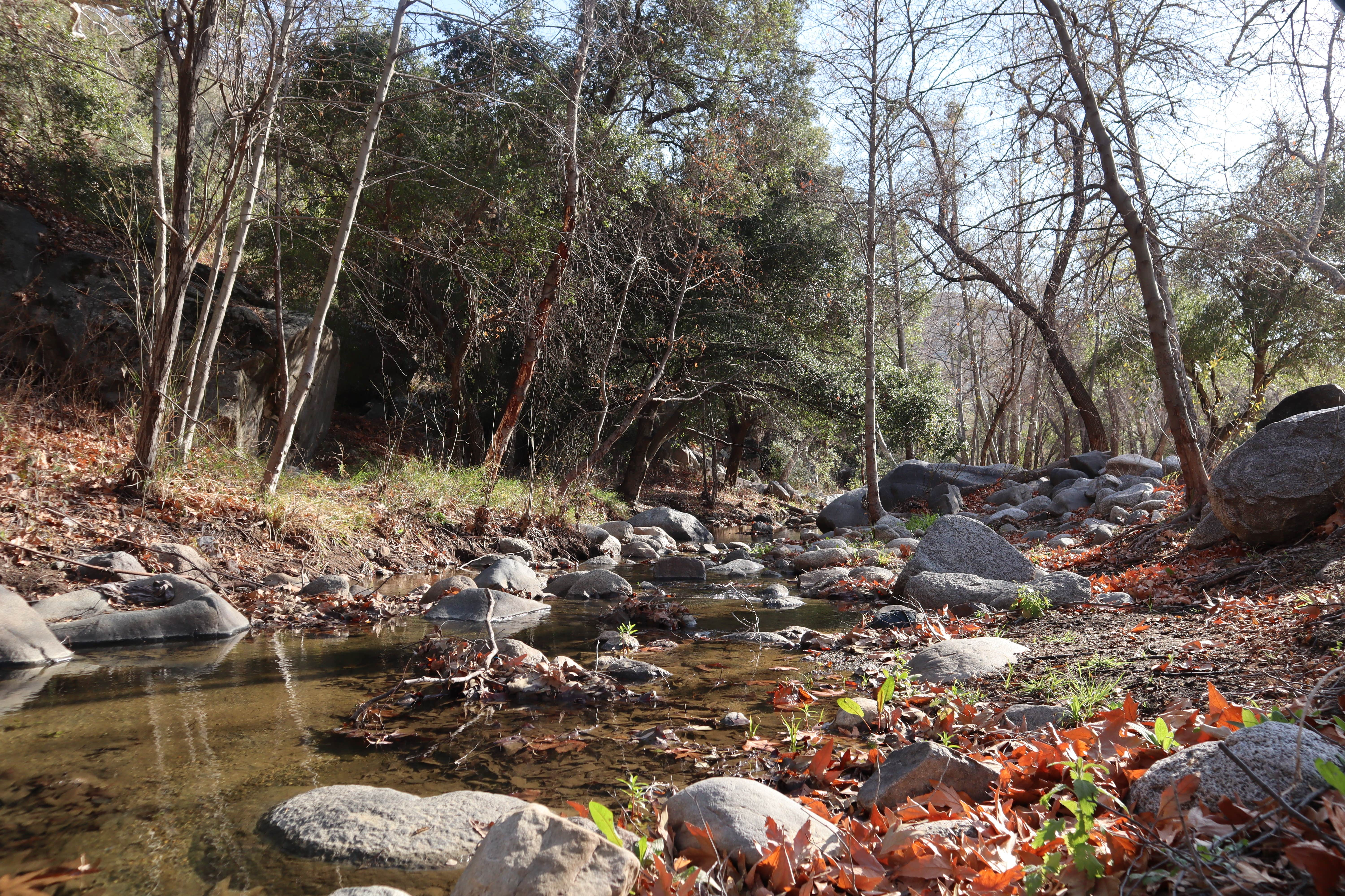 Camper submitted image from La Jolla Indian Campground - 4