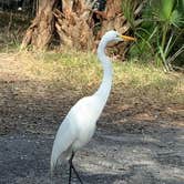 Review photo of Fort De Soto Campground by Cyndi B., February 28, 2021