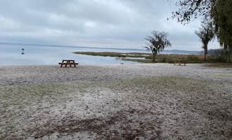 Camping near Thousand Trails Orlando: Lake Louisa State Park Campground, Clermont, Florida