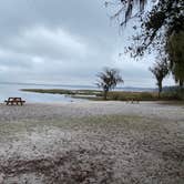 Review photo of Lake Louisa State Park Campground by Cyndi B., February 28, 2021