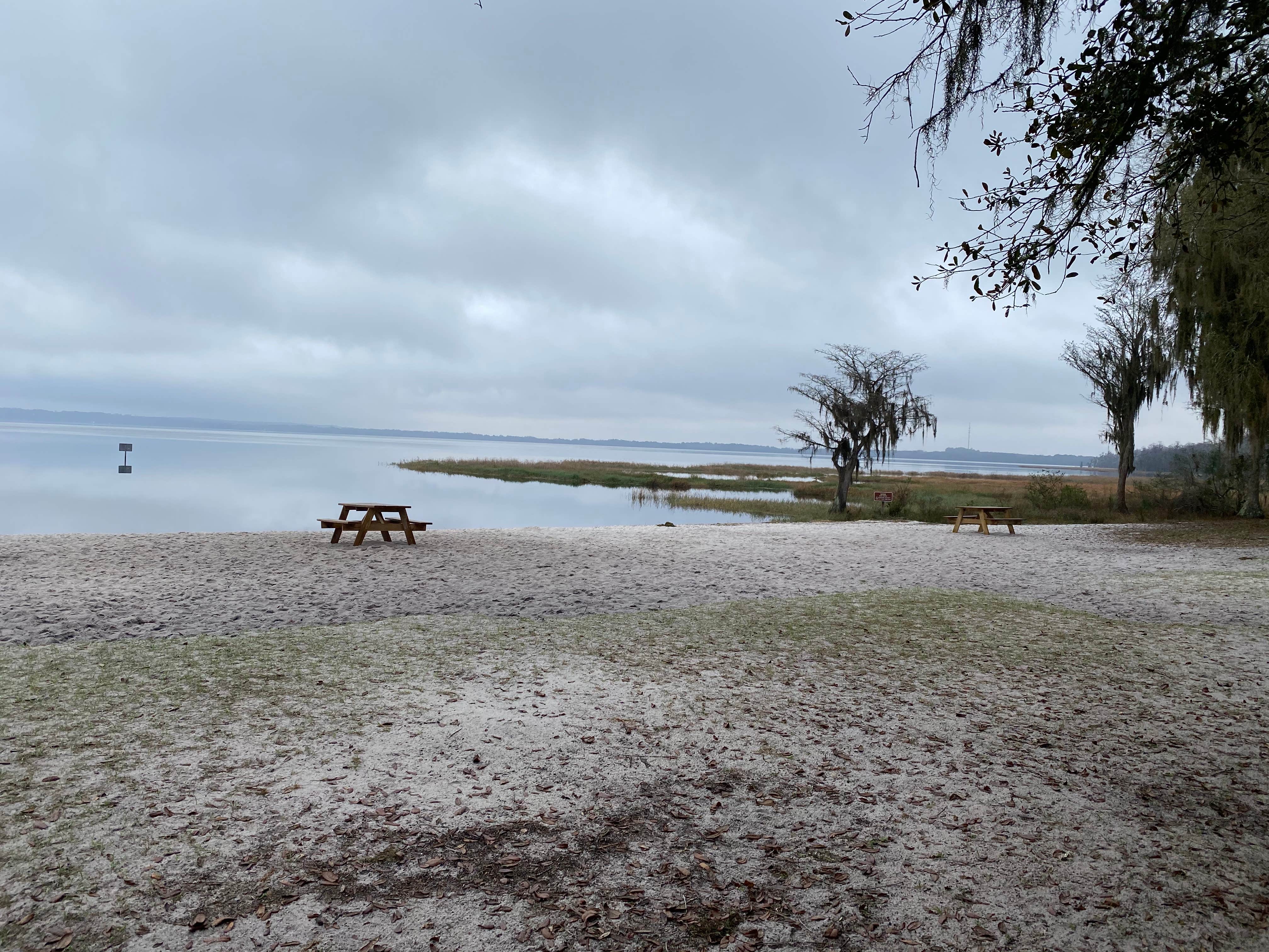 Camper submitted image from Lake Louisa State Park Campground - 1