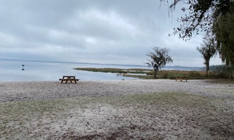 Camping near Thirty Oaks Ranch: Lake Louisa State Park Campground, Clermont, Florida
