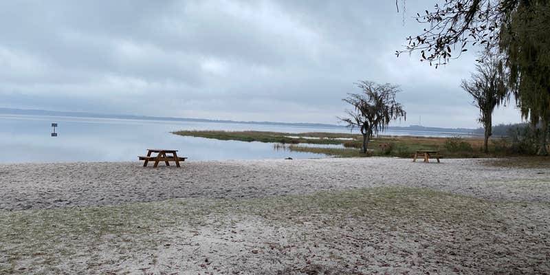 Camper submitted image from Lake Louisa State Park Campground