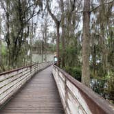 Review photo of Lake Louisa State Park Campground by Cyndi B., February 28, 2021