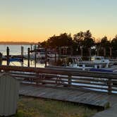 Review photo of Carolina Beach State Park Campground by Cyndi B., February 28, 2021