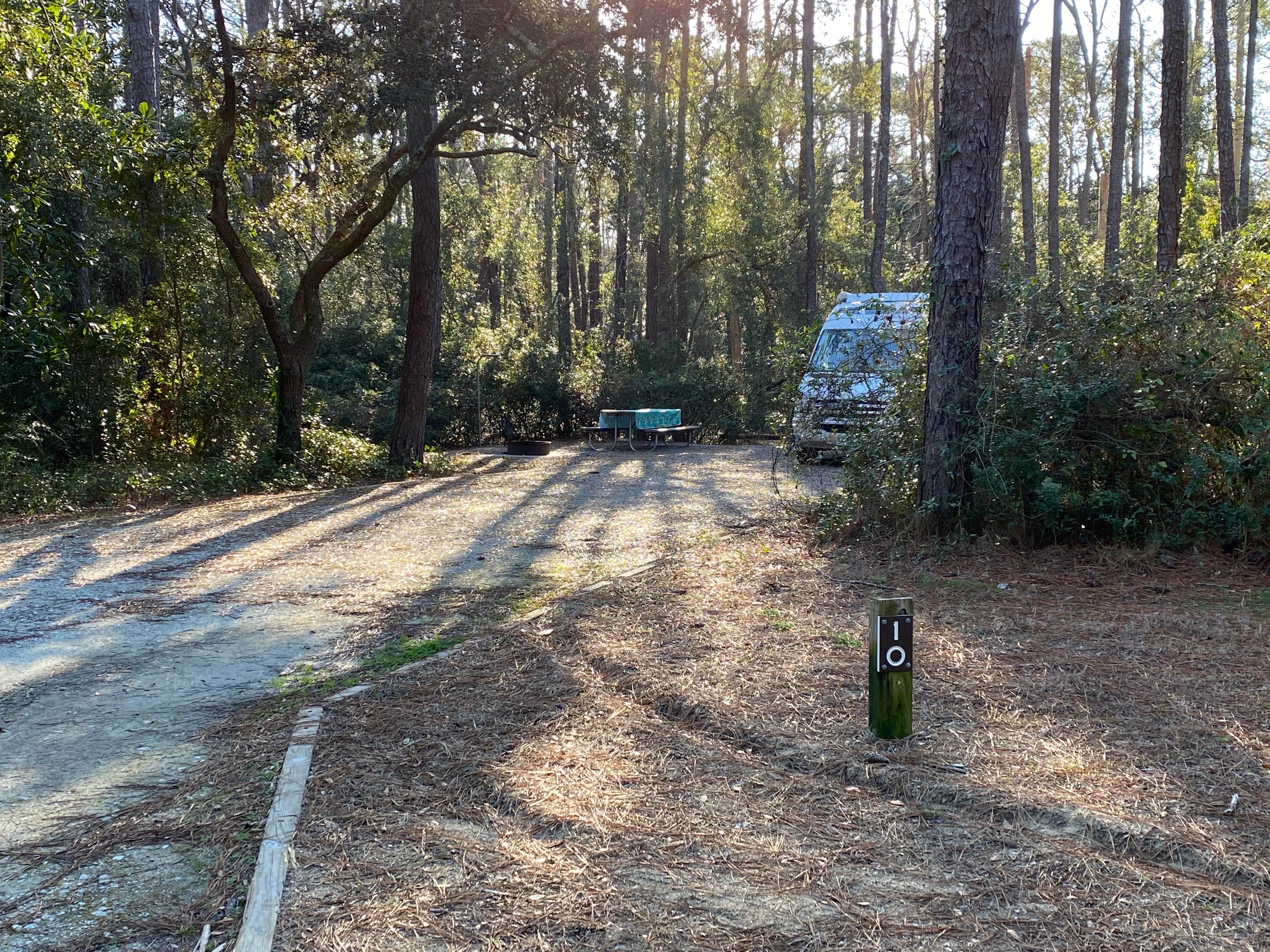 Carolina Beach State Park Campground