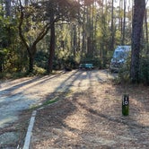 Review photo of Carolina Beach State Park Campground by Cyndi B., February 28, 2021