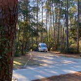 Review photo of Carolina Beach State Park Campground by Cyndi B., February 28, 2021