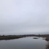 Review photo of Moses Lake Mud Flats and Sand Dunes by Terrell B., February 28, 2021