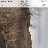 Review photo of Moses Lake Mud Flats and Sand Dunes by Terrell B., February 28, 2021