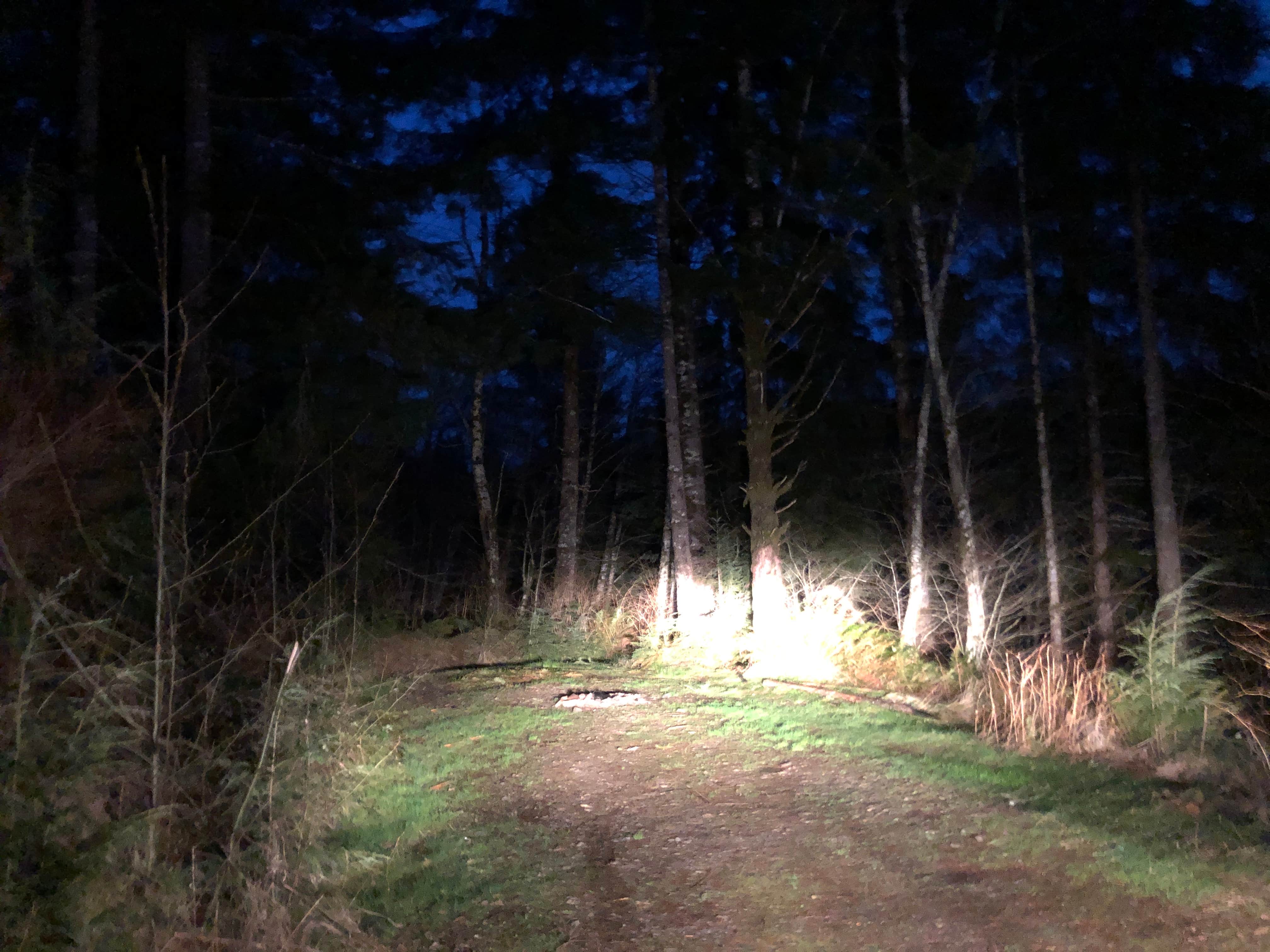 Camper-submitted photo at Tillamook Forest Dispersed on the Nehalem River near Ilwaco, WA