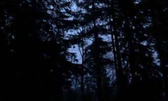 Camping near Morrison Eddy: Tillamook Forest Dispersed on the Nehalem River, Tillamook State Forest, Oregon
