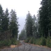 Review photo of Tillamook Forest Dispersed on the Nehalem River by Terrell B., February 28, 2021