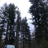 Review photo of Tillamook Forest Dispersed Camping on the Nehalem River by Terrell B., February 28, 2021