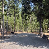 Review photo of Cinder Hill Campground by Corinna B., February 28, 2021
