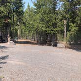 Review photo of Cinder Hill Campground by Corinna B., February 28, 2021