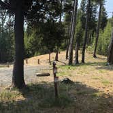 Review photo of Cinder Hill Campground by Corinna B., February 28, 2021