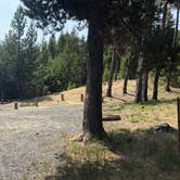 Review photo of Cinder Hill Campground by Corinna B., February 28, 2021