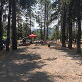 Review photo of Cinder Hill Campground by Corinna B., February 28, 2021