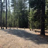 Review photo of Cinder Hill Campground by Corinna B., February 28, 2021