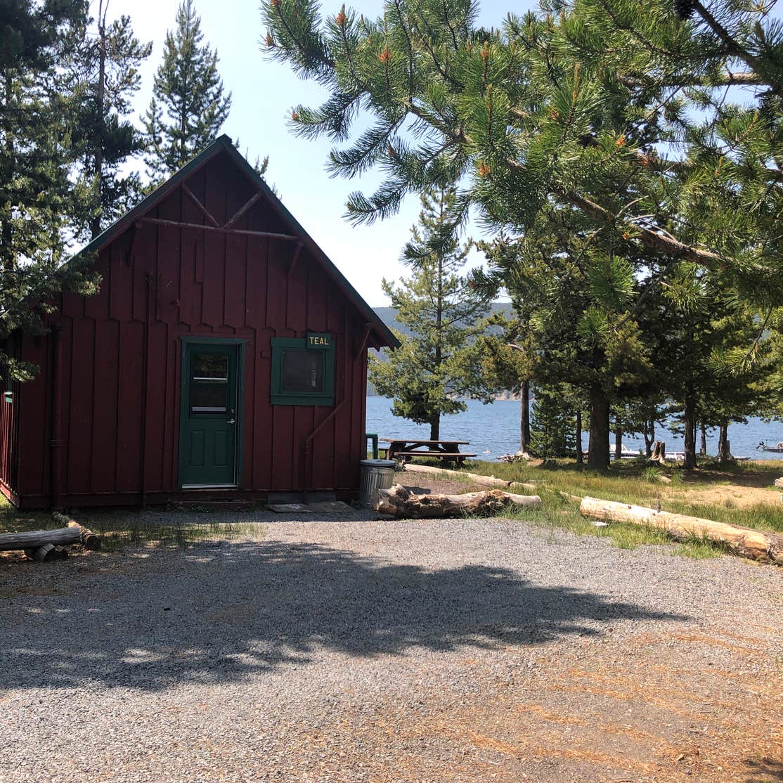 Lake vasona park christmas lights
