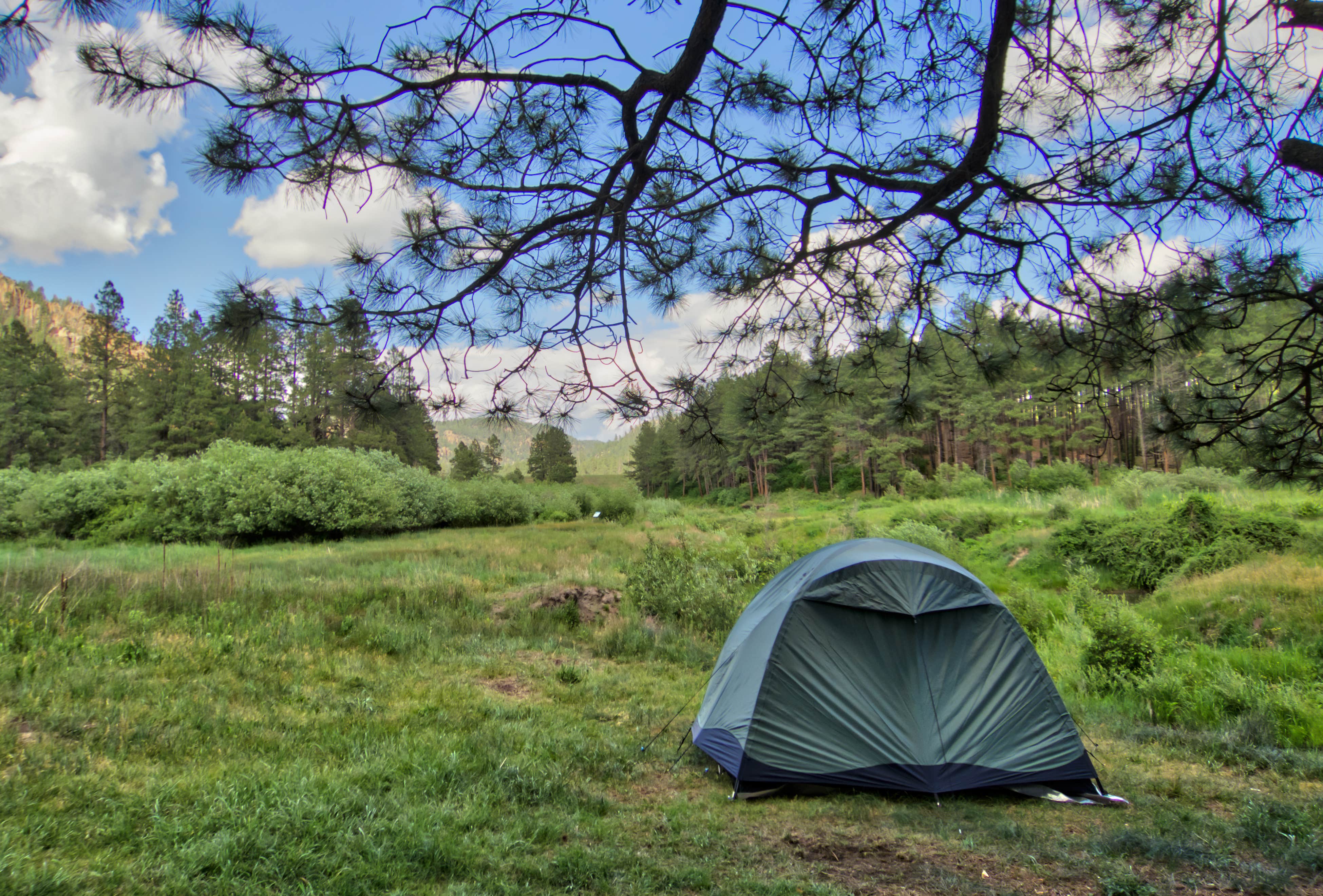 Camper-submitted photo at Fenton Lake State Park Campground near Lindrith, NM