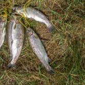 Review photo of Fenton Lake State Park — Fenton Lake Fishing Area (and Dam) by James F., February 28, 2021