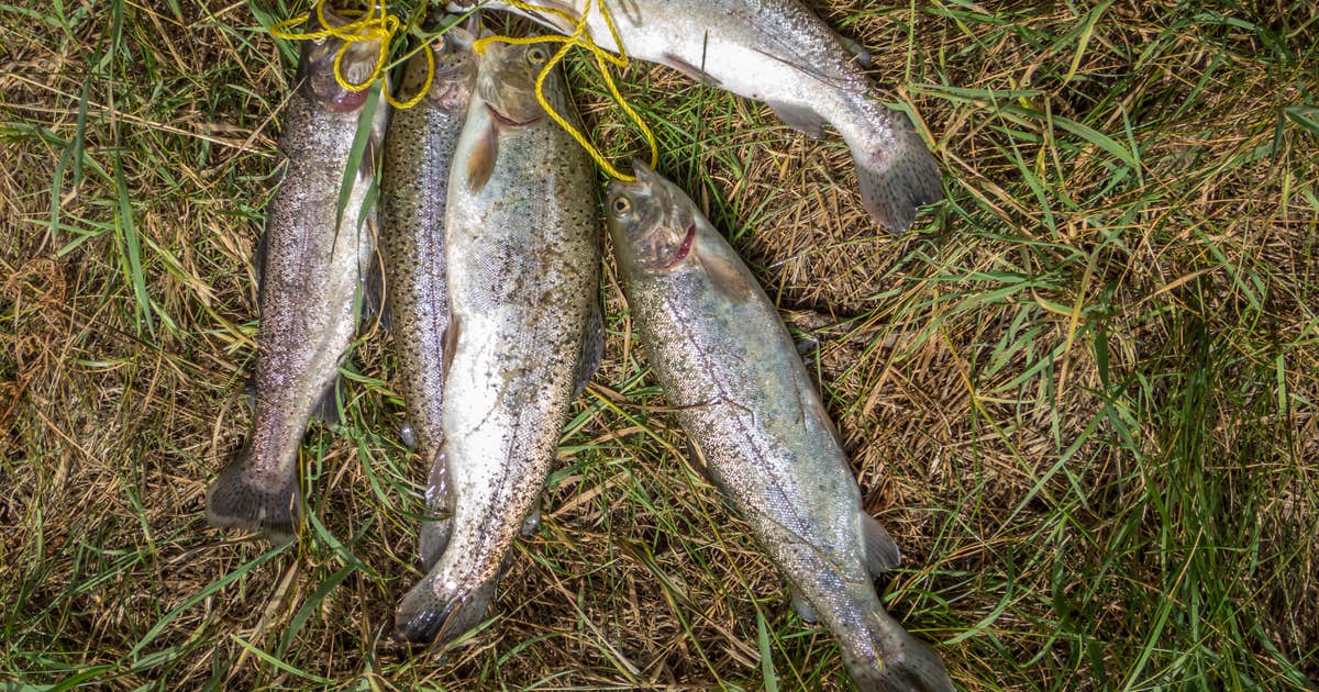 Fenton Lake State Park — Fenton Lake Fishing Area (and Dam)