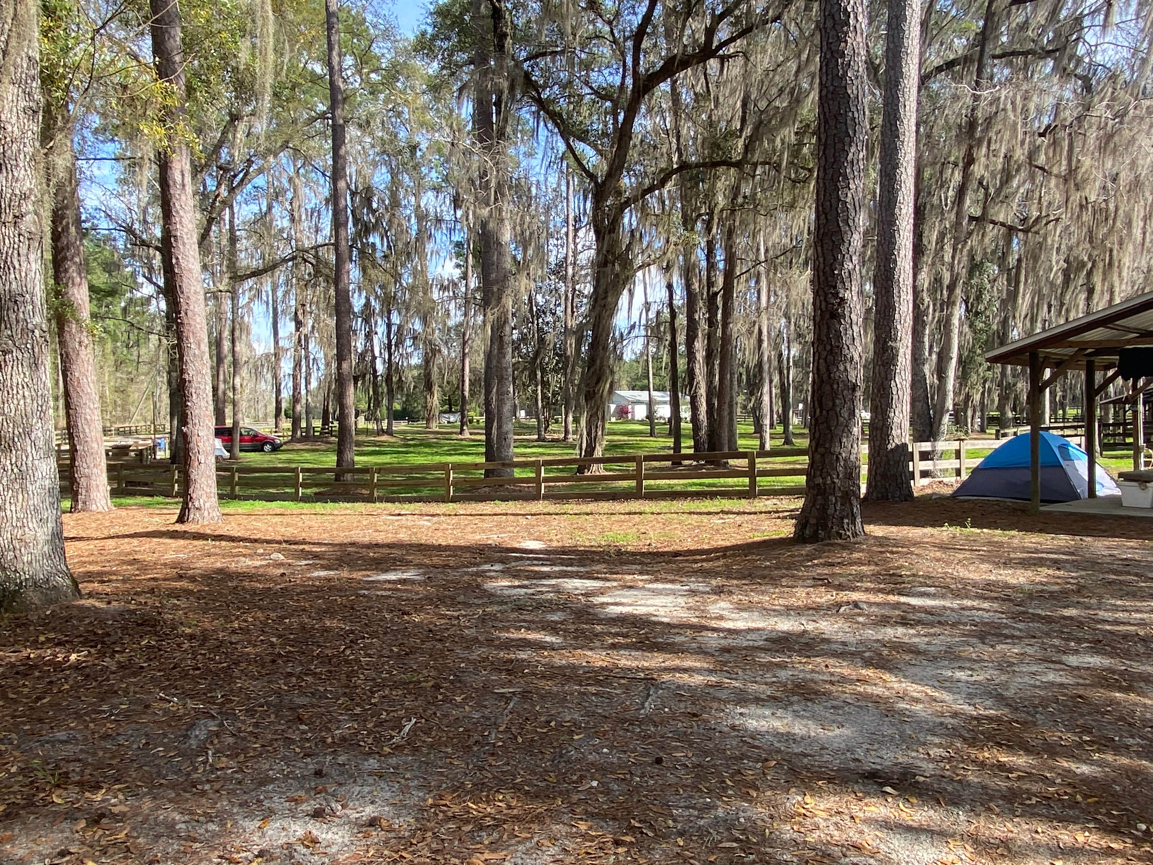 Camping near Holton Creek River Camp — Suwannee River Wilderness Trail: Gibson Park, Suwannee, Florida