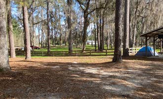 Camping near Eagles Roost RV Resort: Gibson Park, Suwannee, Florida