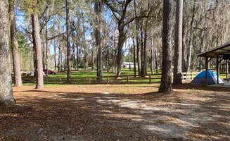 Lisa E.'s photo at Gibson Park in Florida