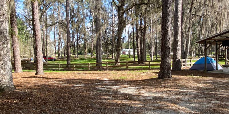 Camper submitted image from Gibson Park