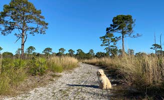 Perry J.'s photo of camping with pets at Oscar Scherer State Park Campground near Nokomis, FL