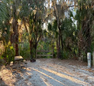Camper-submitted photo from Palmetto Ridge Campground — Myakka River State Park