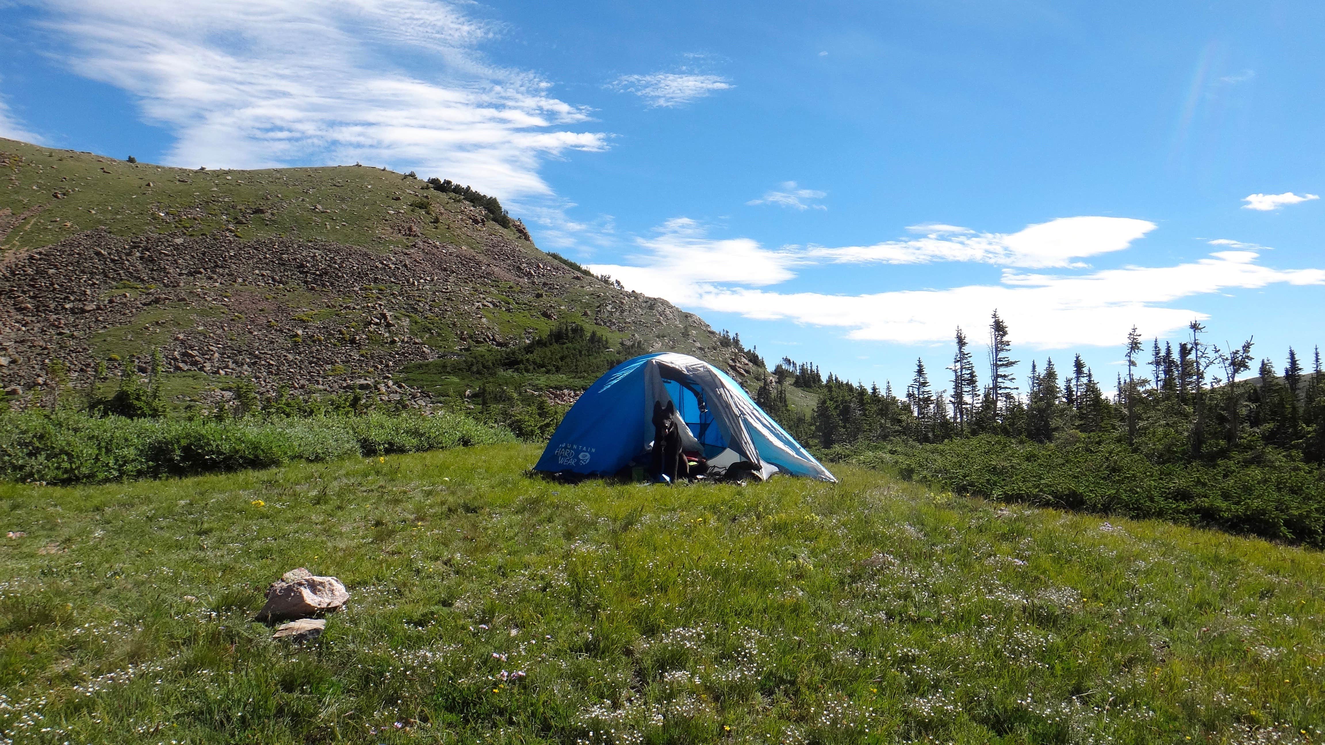 Daniel  B.'s photo of a dispersed camping area at Iceberg Lake Backcountry Campground near Fraser, CO
