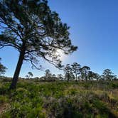 Review photo of Oscar Scherer State Park Campground by Perry J., March 1, 2021